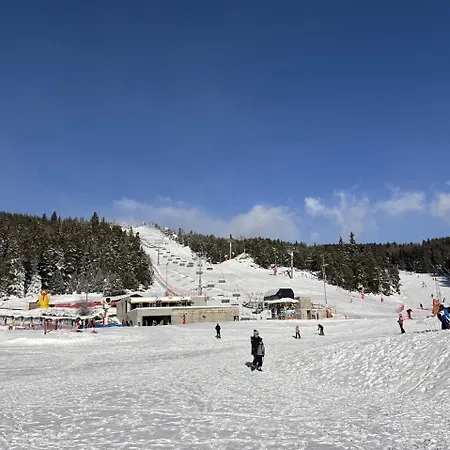 Domek alpejski Bienvenue Au